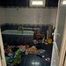 Domnesti, vila S+P+1, teren de 680 mp, reducere la plata integrala.